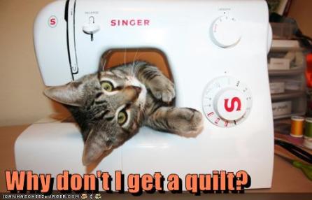cat quilt